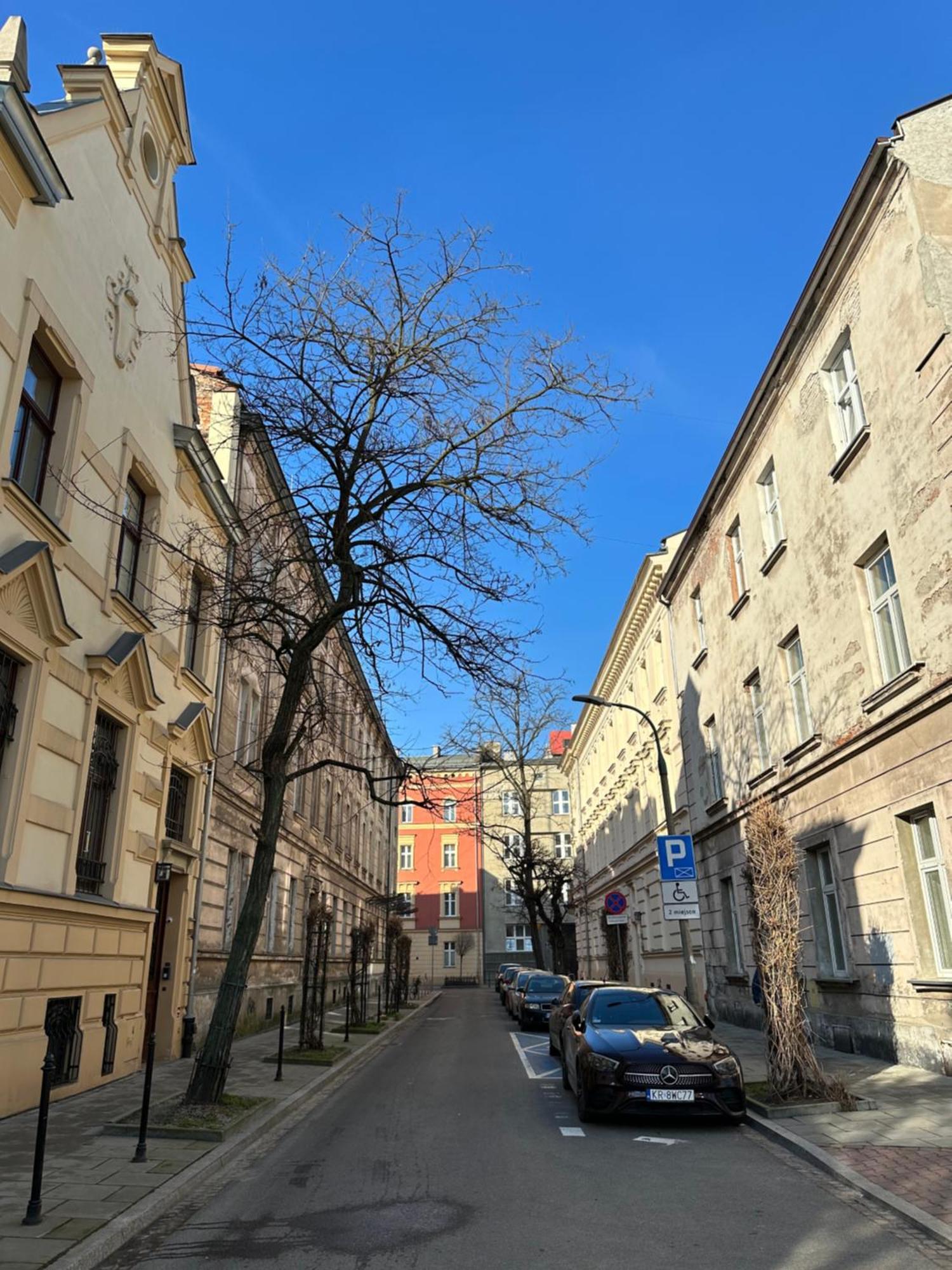 Perfect place to stay in Kraków City Center 40m2 W4 Zewnętrze zdjęcie